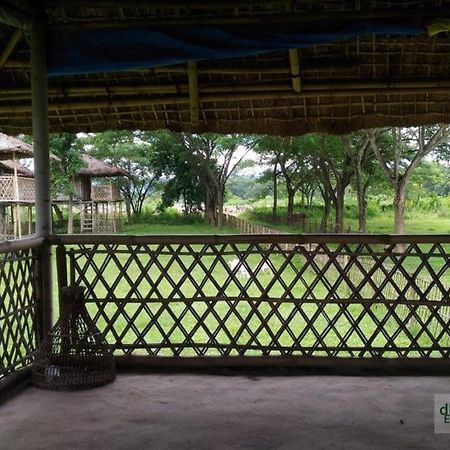 Dhansiri Eco Camp Bokākhāt 外观 照片