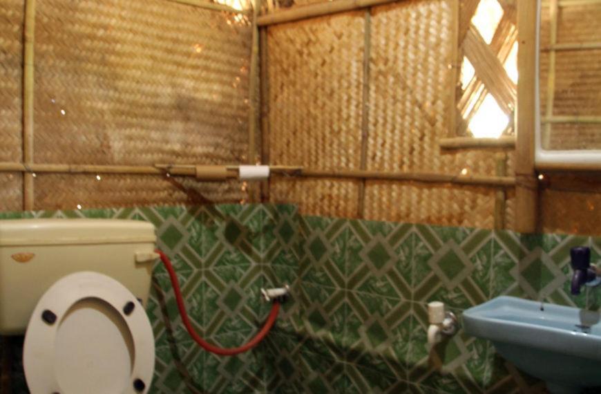 Dhansiri Eco Camp Bokākhāt 外观 照片