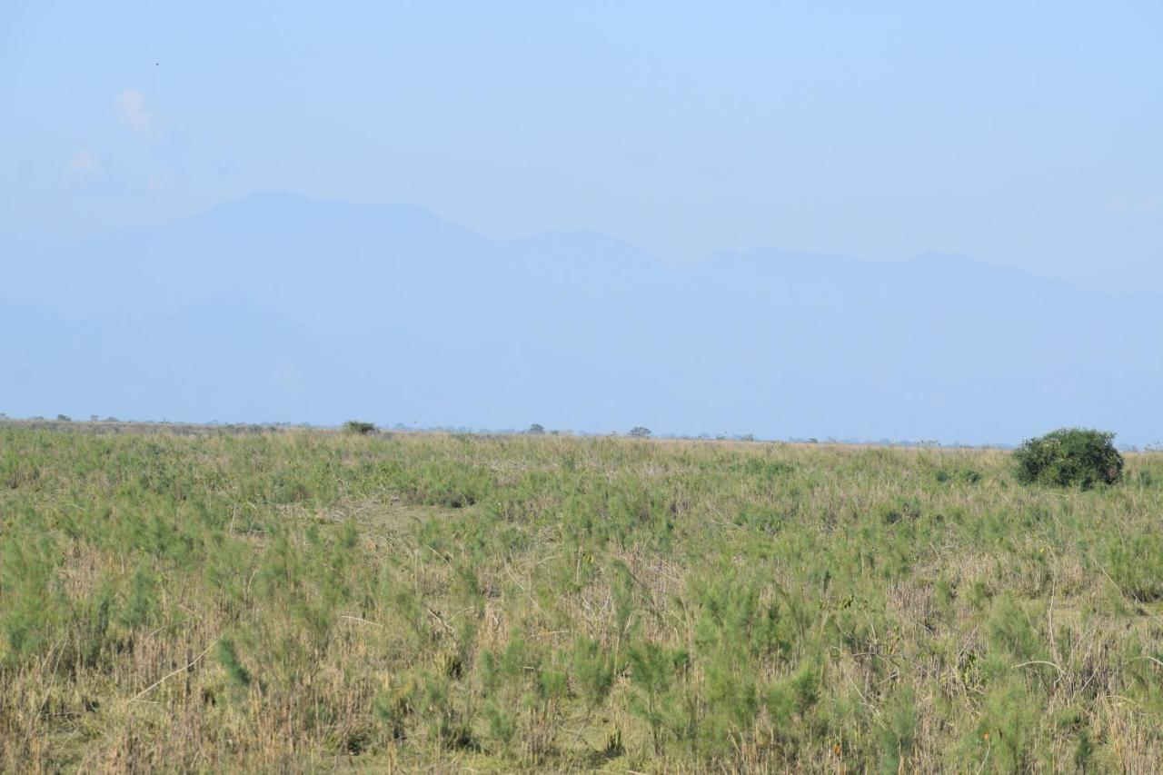 Dhansiri Eco Camp Bokākhāt 外观 照片